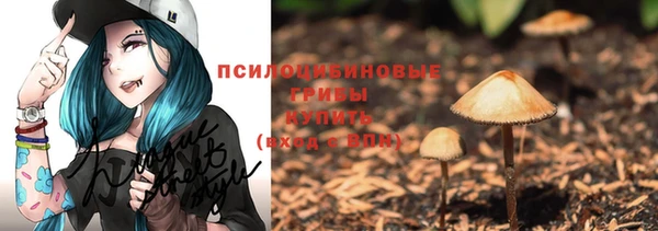 соль ск Медногорск