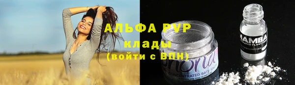 соль ск Медногорск