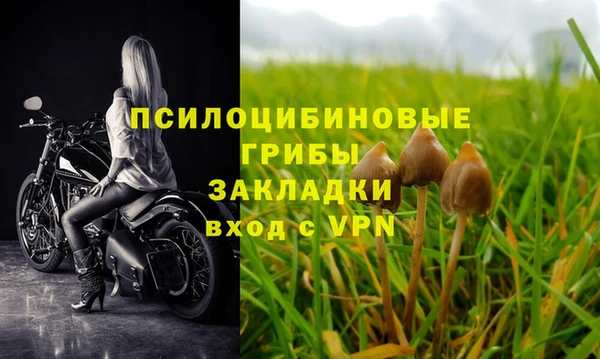 тгк Надым