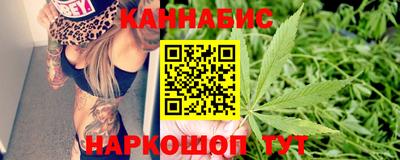 прущие грибы Будённовск