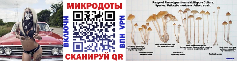 где найти   mega сайт  Галлюциногенные грибы прущие грибы  Избербаш 