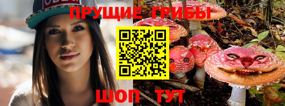 Галлюциногенные грибы Magic Shrooms  Избербаш 